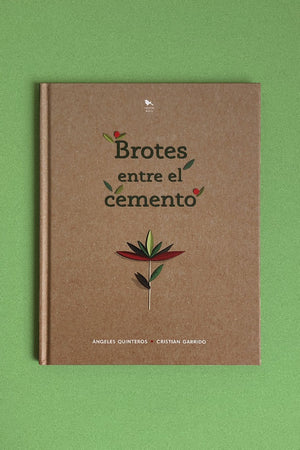 Brotes entre el cemento