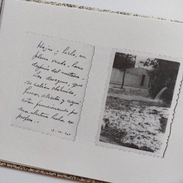 La obstinación de la luz