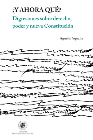 ¿Y ahora qué? Digresiones sobre derecho, poder y nueva Constitución