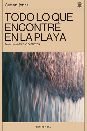 Todo lo que encontré en la playa