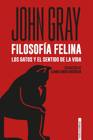 Filosofía Felina: Los Gatos y el Sentido de la Vida