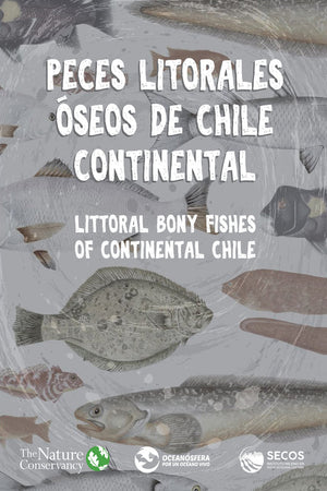  PECES LITORALES OSEO DE CHILE CONTINENTAL