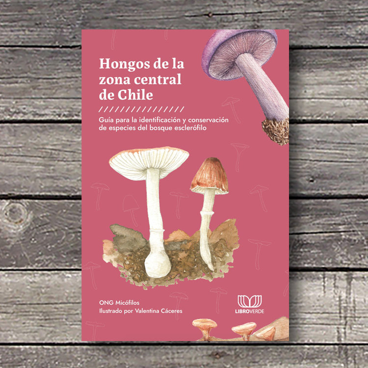 Hongos de la zona central de Chile