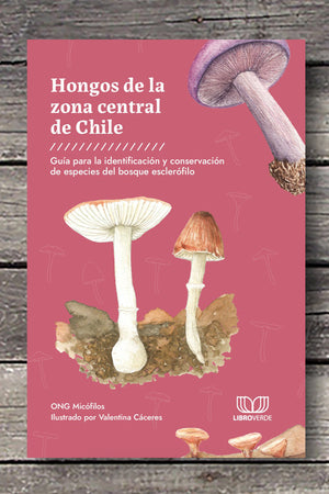 Hongos de la zona central de Chile