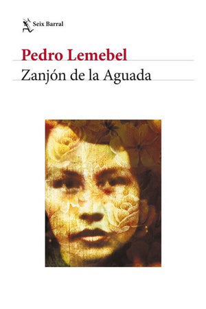 Zanjón de la Aguada