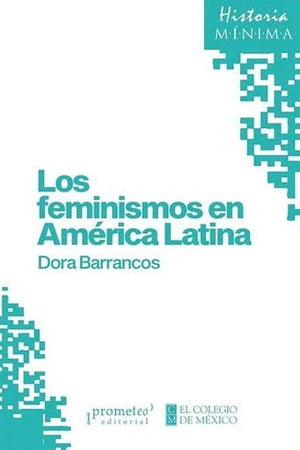 Los feminismos en América Latina