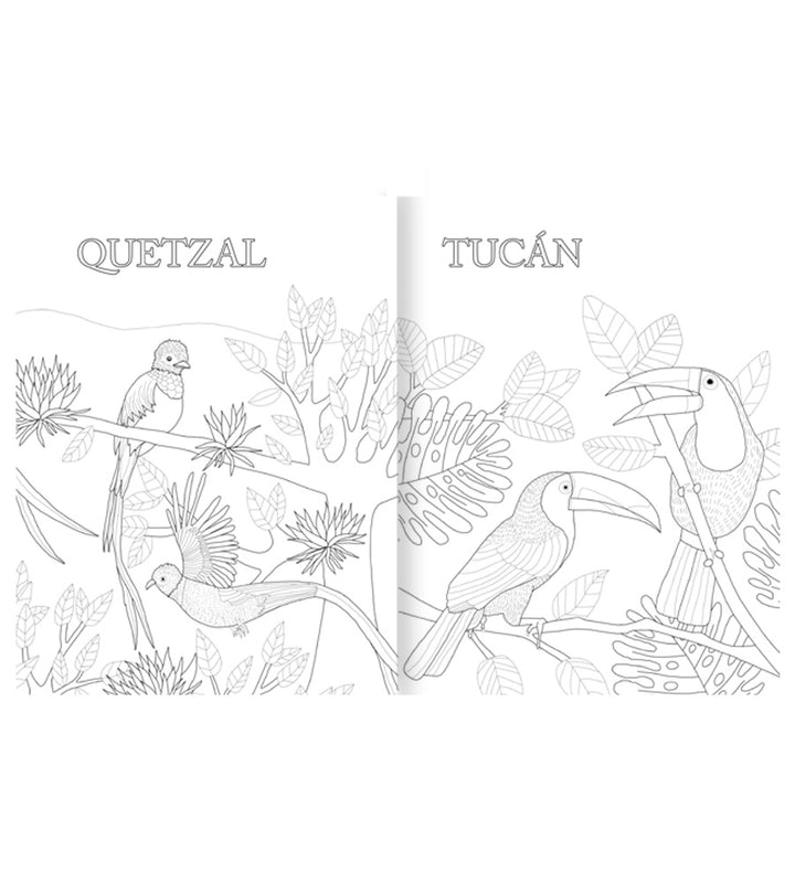 Atlas de Animales Americanos para colorear