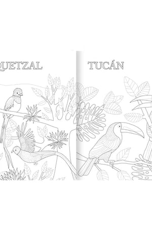 Atlas de Animales Americanos para colorear