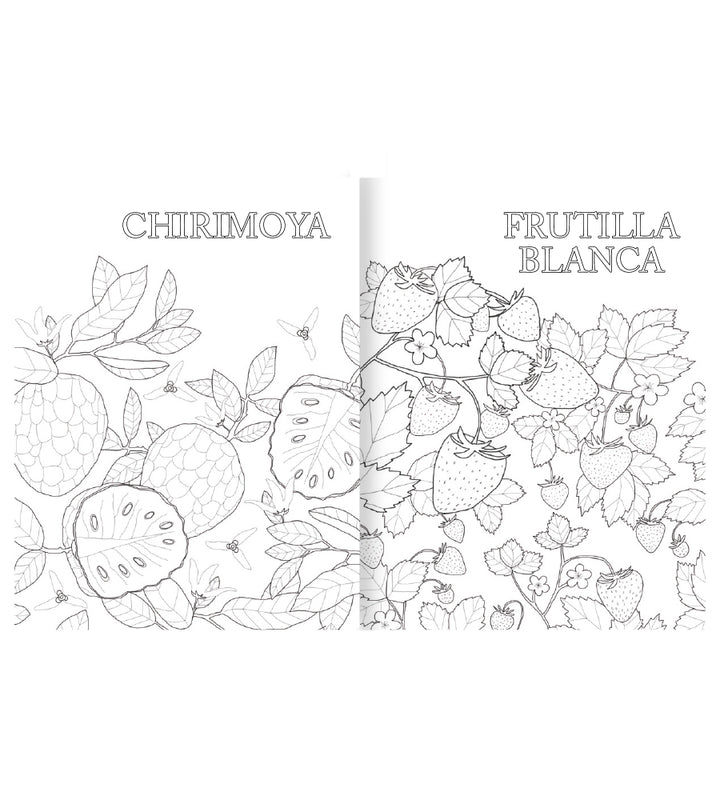Atlas de Frutas Americanas para colorear