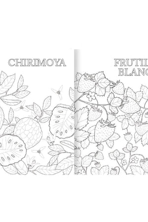 Atlas de Frutas Americanas para colorear