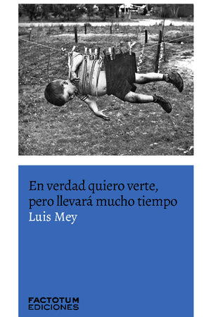 En verdad quiero verte pero llevará mucho tiempo