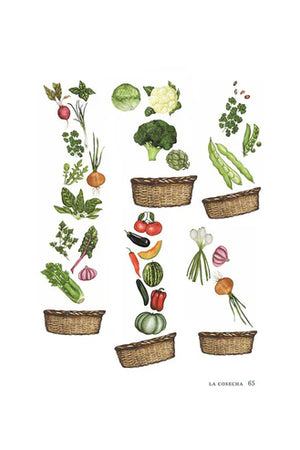 CULTIVAR-NOS. Enseñanzas de un huerto