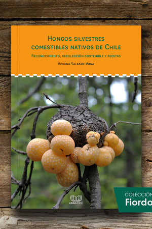Hongos silvestres comestibles nativos de Chile