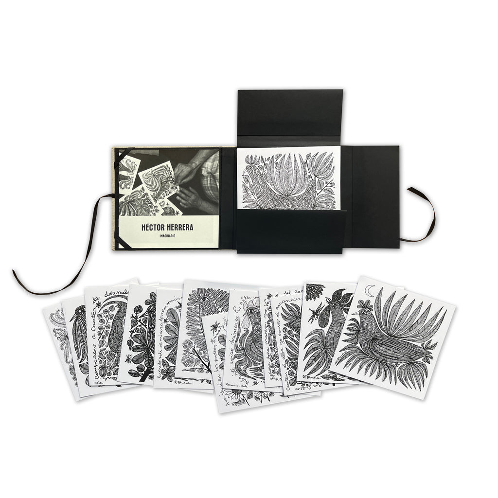 Imaginario Héctor Herrera