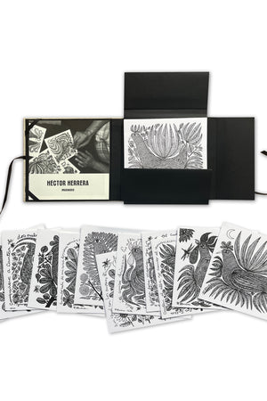 Imaginario Héctor Herrera