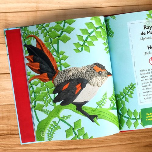 Mi primer libro de flora y fauna de Juan Fernández