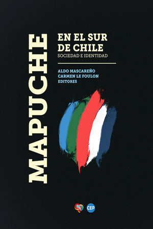 Mapuche en el sur de Chile. Sociedad e identidad