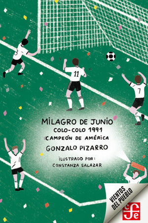 Milagro de junio. Colo-Colo 1991, Campeón de América