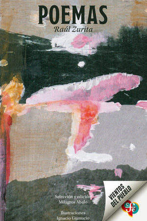 POEMAS RAUL ZURITA
