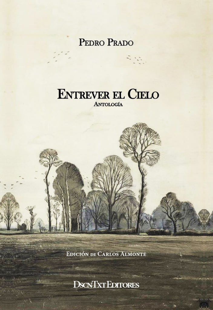 Entrever el cielo