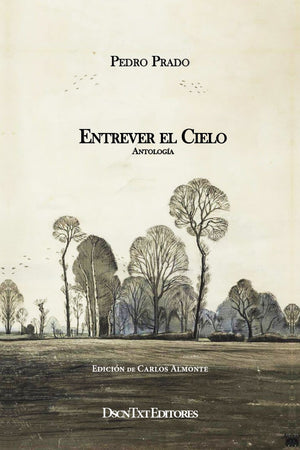 Entrever el cielo