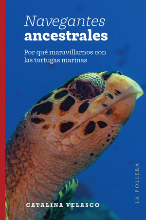  Navegantes ancestrales