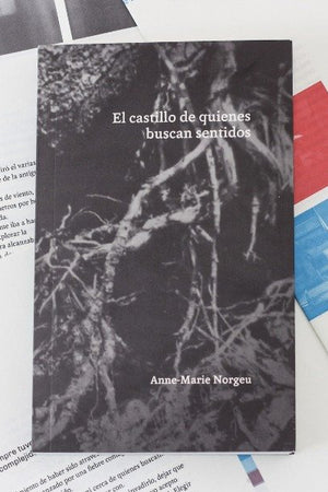 El castillo de quienes buscan sentidos