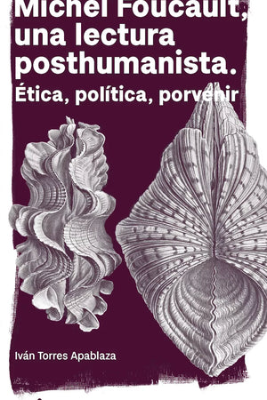 MICHEL FOUCAULT, UNA LECTURA POSTHUMANISTA