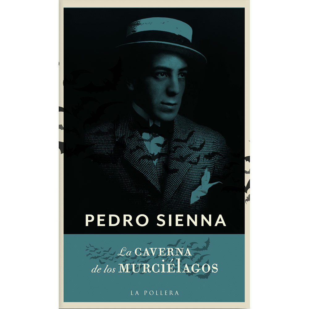 La caverna de los murciélagos