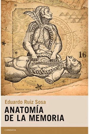 Anatomía de la memoria