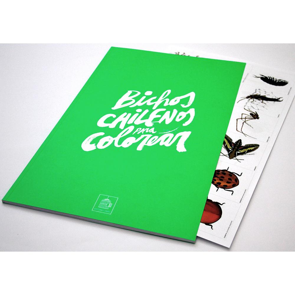 Bichos chilenos para colorear