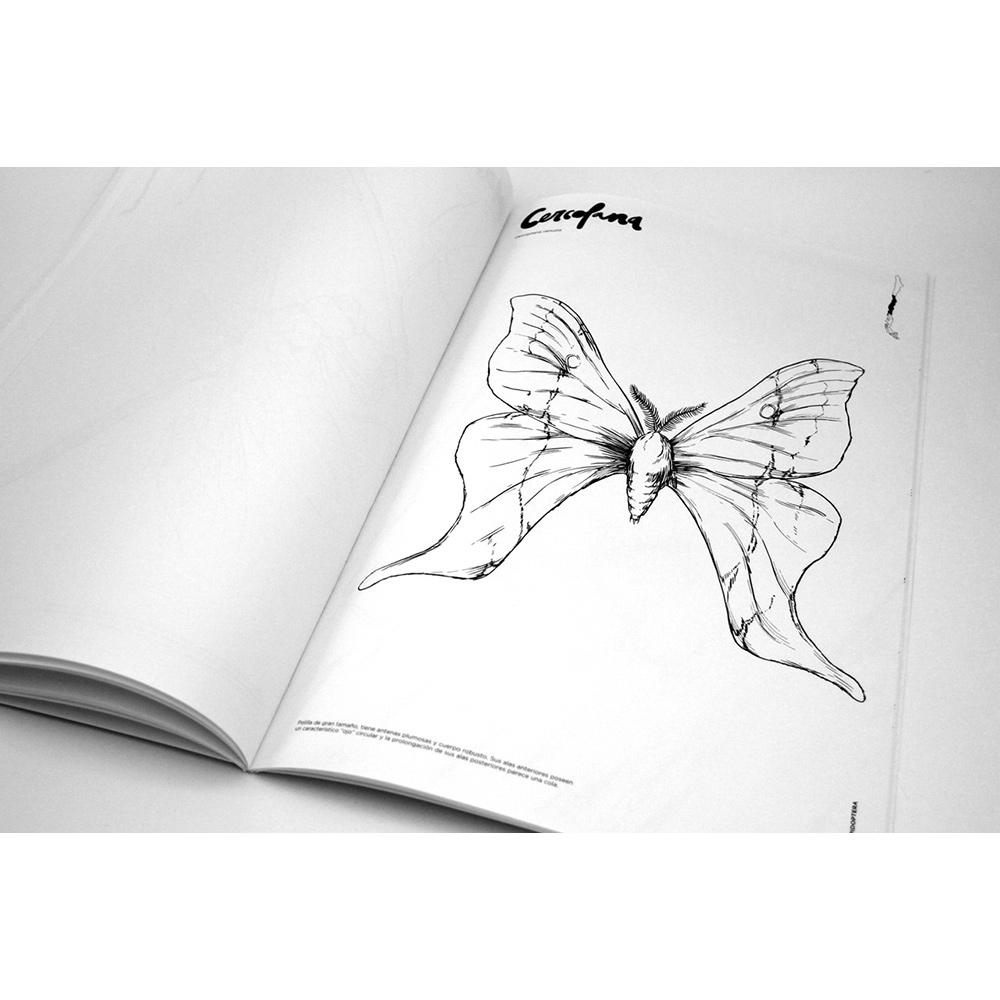 Bichos chilenos para colorear