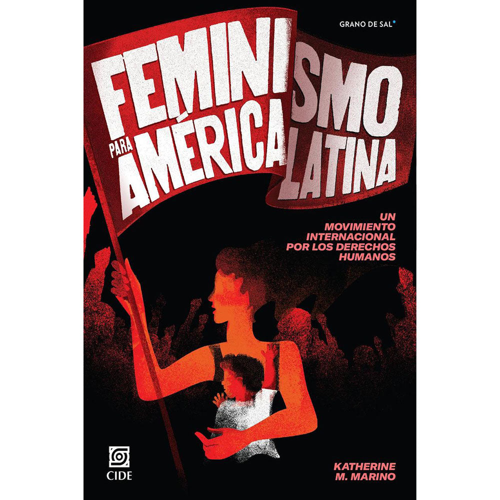 Feminismo para América Latina
