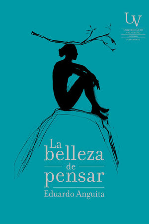 La belleza de pensar
