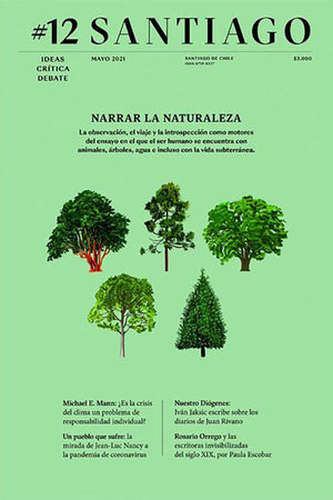 Revista Santiago #12