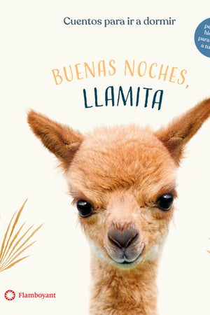 BUENAS NOCHES, LLAMITA