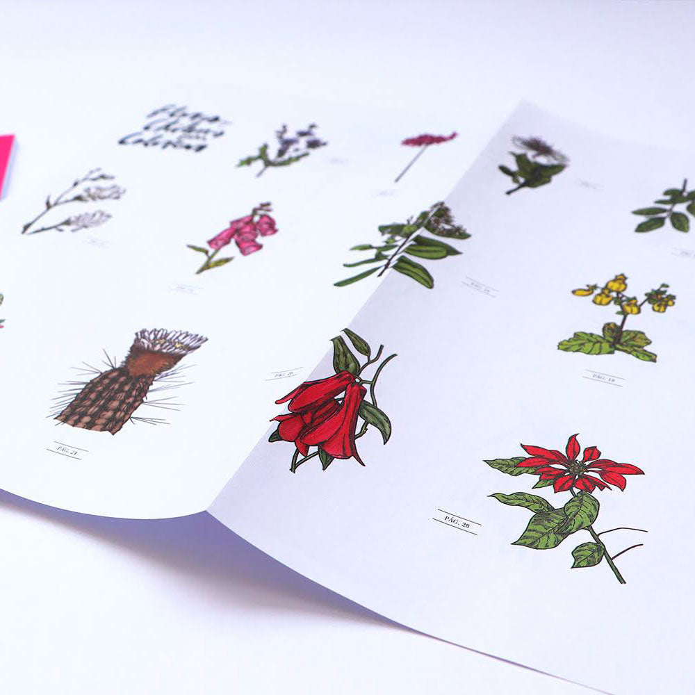 Flores Chilenas para Colorear