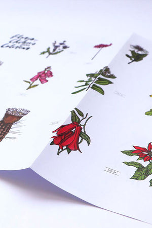 Flores Chilenas para Colorear