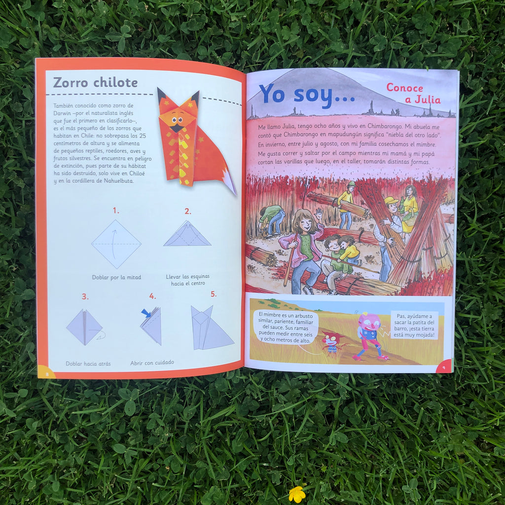 Revista Guarisapo Nº3