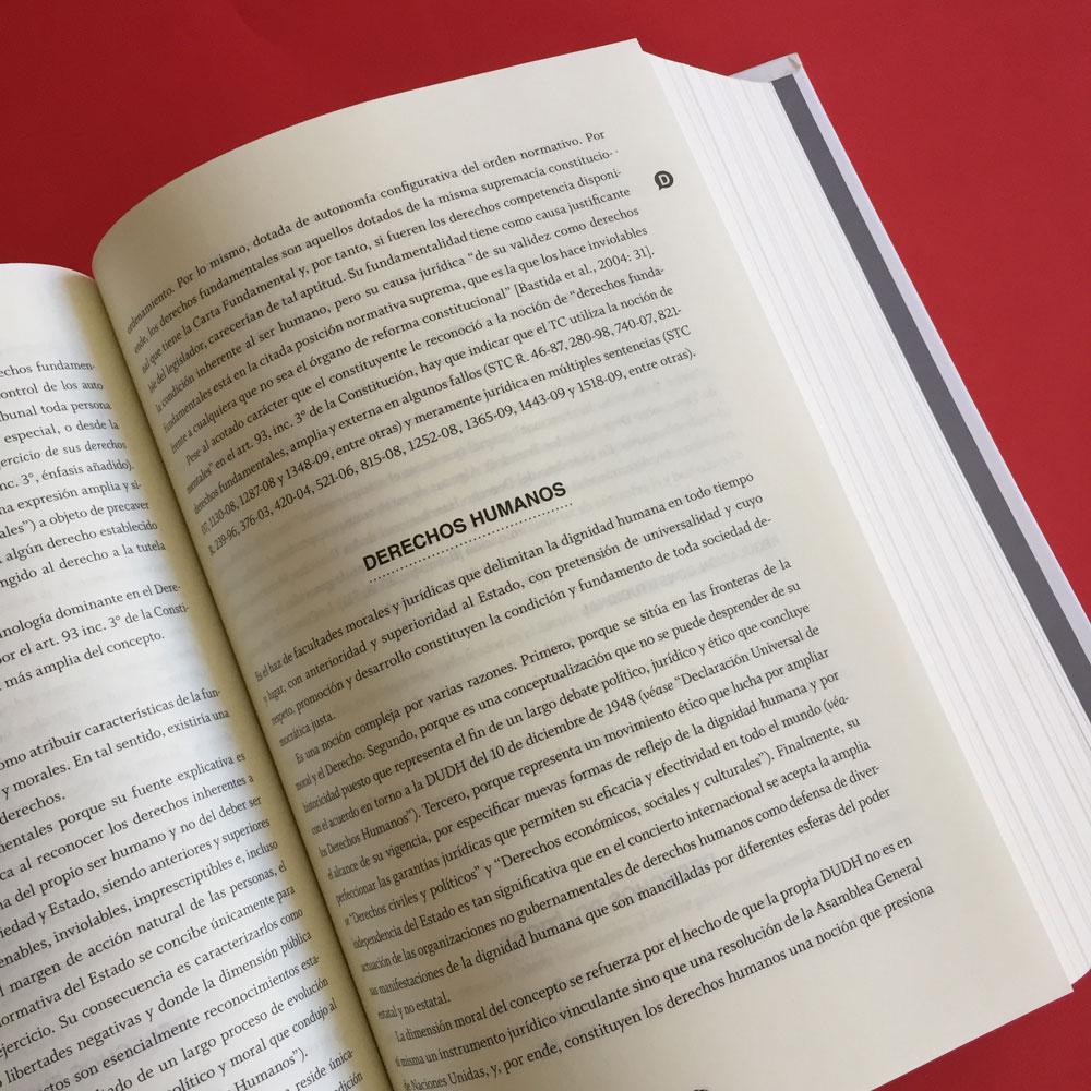 Diccionario Constitucional Chileno