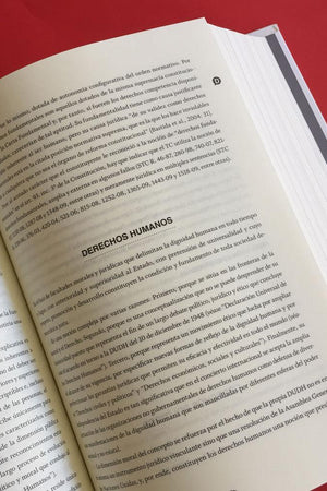 Diccionario Constitucional Chileno