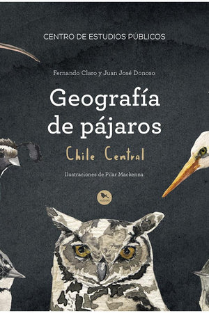 Geografía de pájaros Chile Central