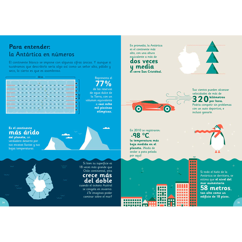 Revista Guarisapo Nº4