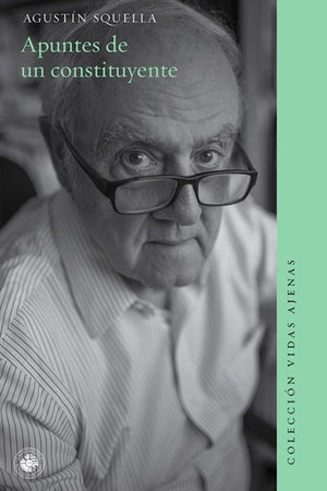 Apuntes de un constituyente