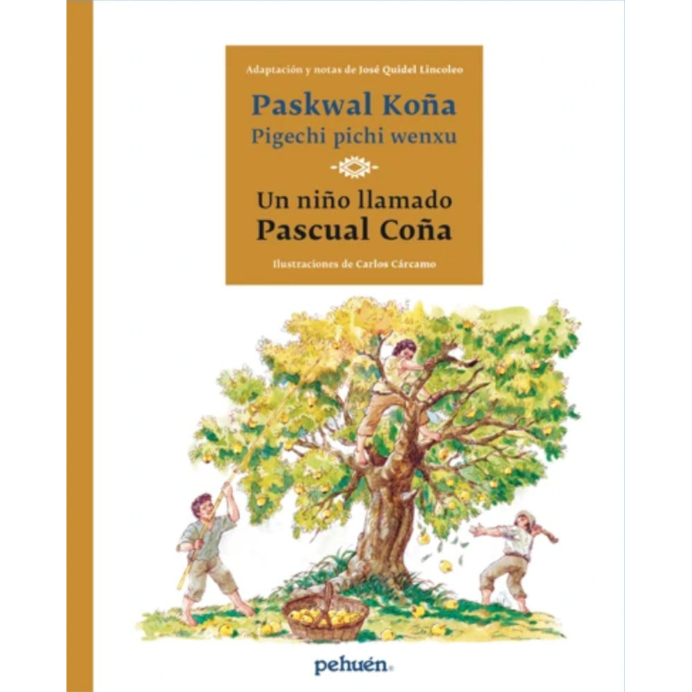 Un niño llamado Pascual Coña