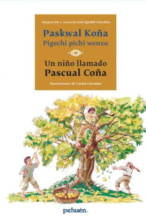 Un niño llamado Pascual Coña