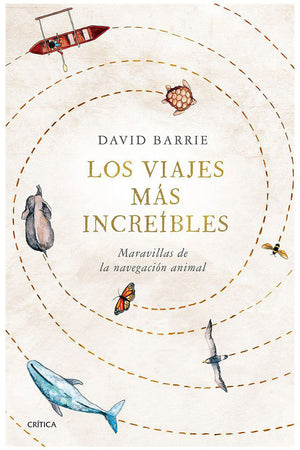 Los viajes más increíbles