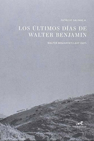 Los últimos días de Walter Benjamin