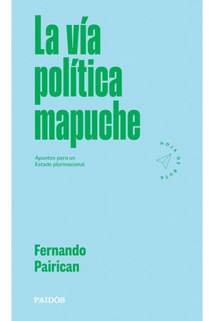  La vía política mapuche